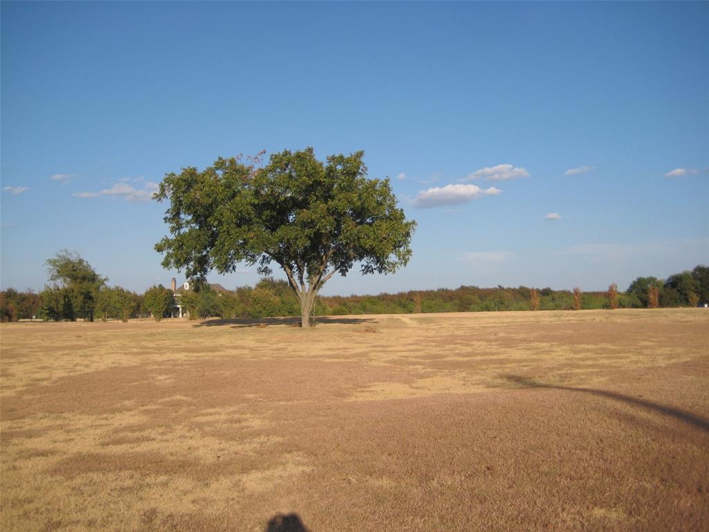 Lot 1 Jones Road Sanger, TX 76266 - Photo 1 of 11 Gallery Image 1