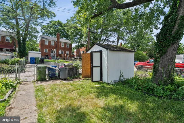 a view of a park with large trees