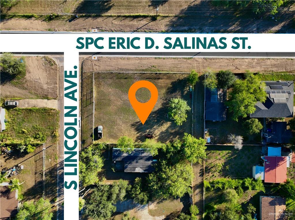 an outdoor space with lots of plants and fruits