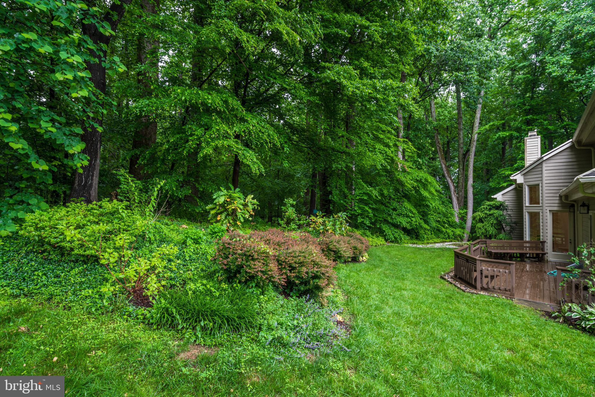7805 Laurel Leaf Drive Potomac, MD 20854 - Photo 4 of 13 a view of backyard of house with green space
