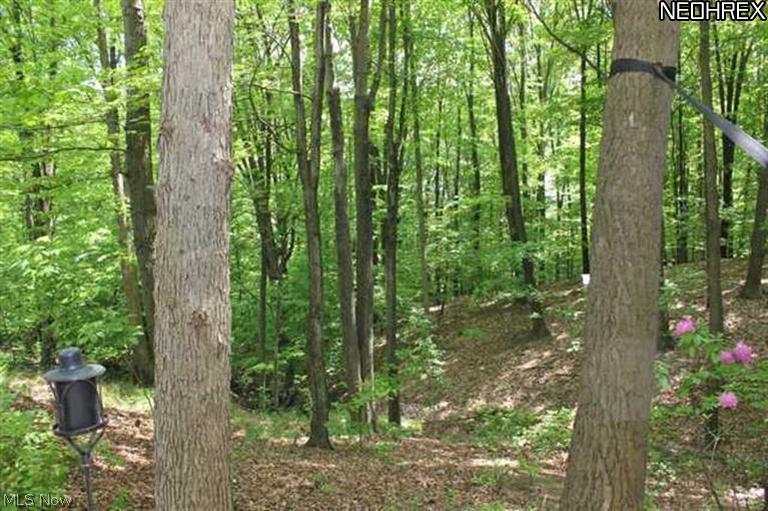 16835 Woodleaf Road Strongsville, OH 44136 - Photo 24 of 25 Gallery Image 24