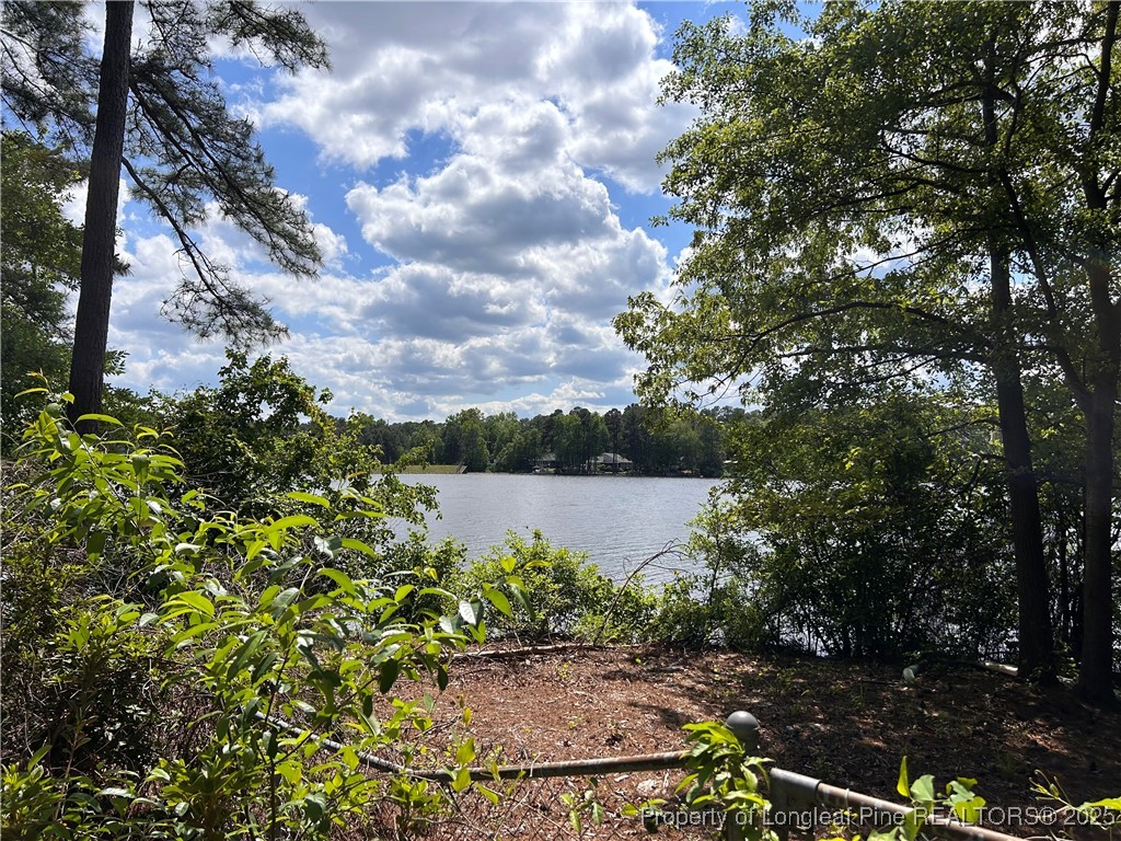 422 Lansdowne Road Fayetteville, NC 28314 - Photo 14 of 14 a view of a lake with a tree