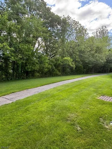 a view of a big yard with a large trees