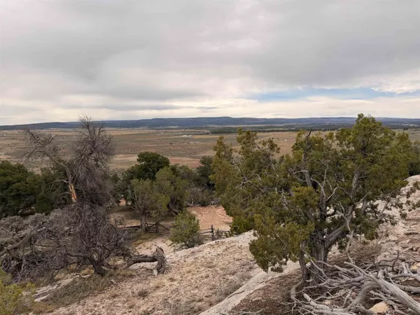 $225,000 | 19 South Trail Canyon Drive, Glade Park, CO 81523