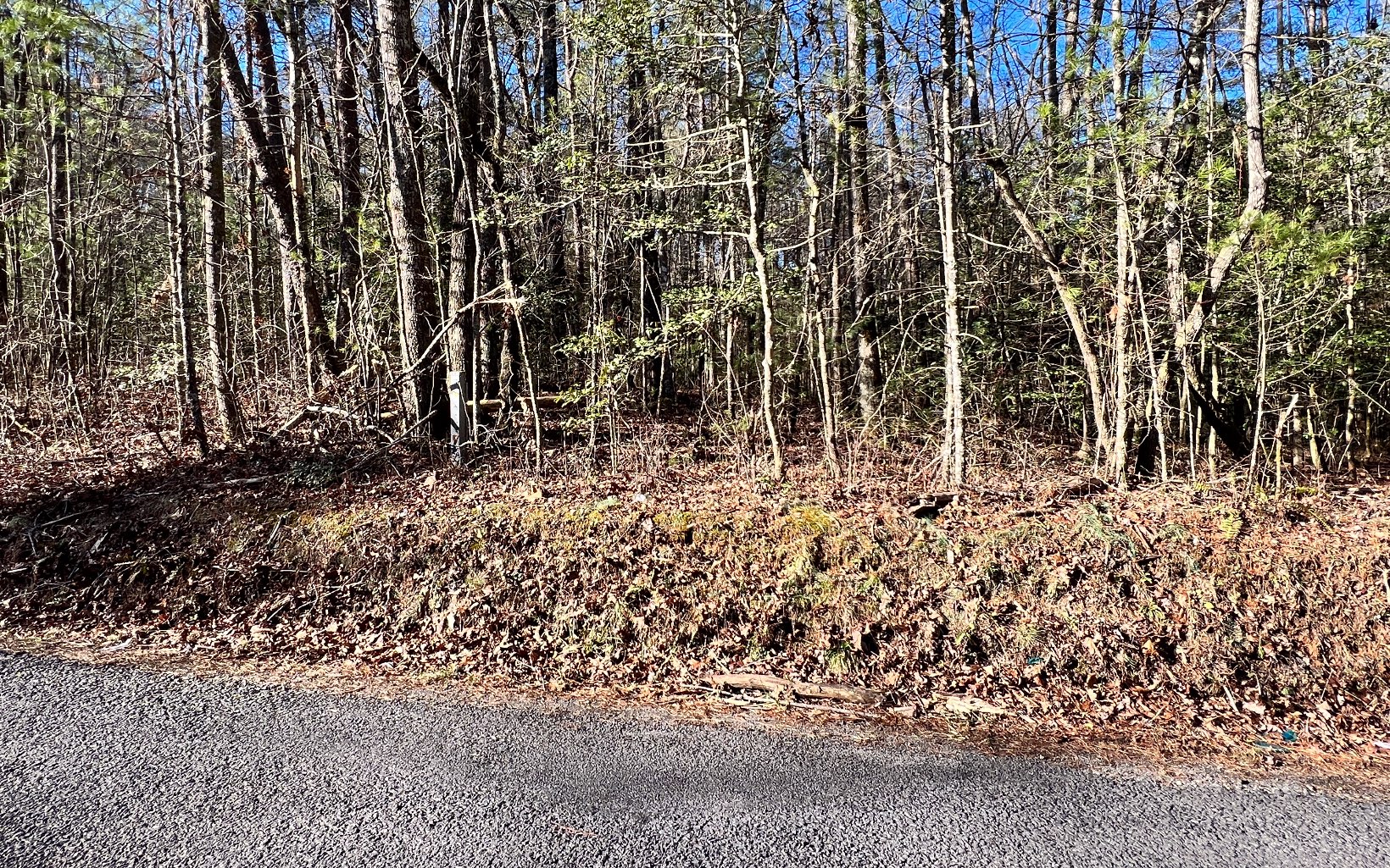 13.39 Seth Hyatt Road Ellijay, GA 30540 - Photo 2 of 4 Additional View