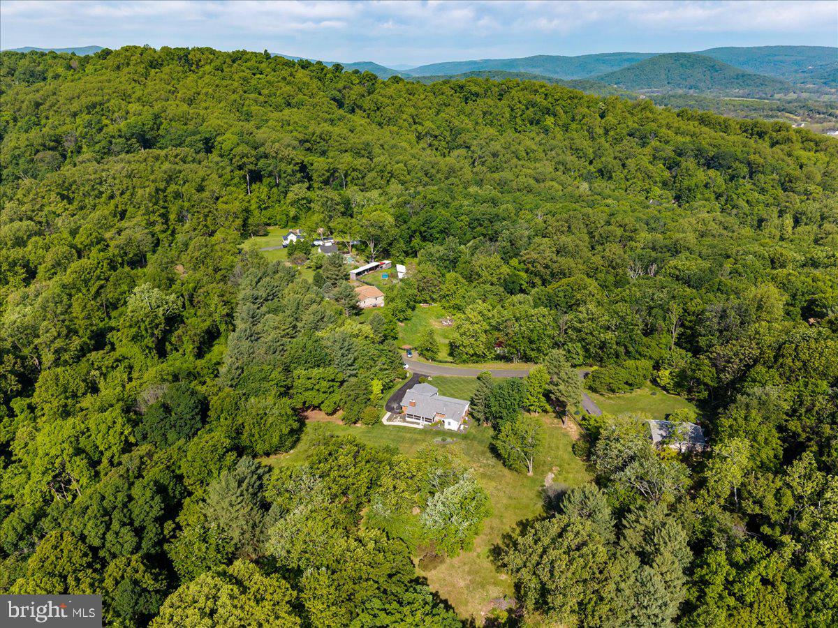 3545 Cobbler Mountain Road Delaplane, VA 20144 - Photo 35 of 37