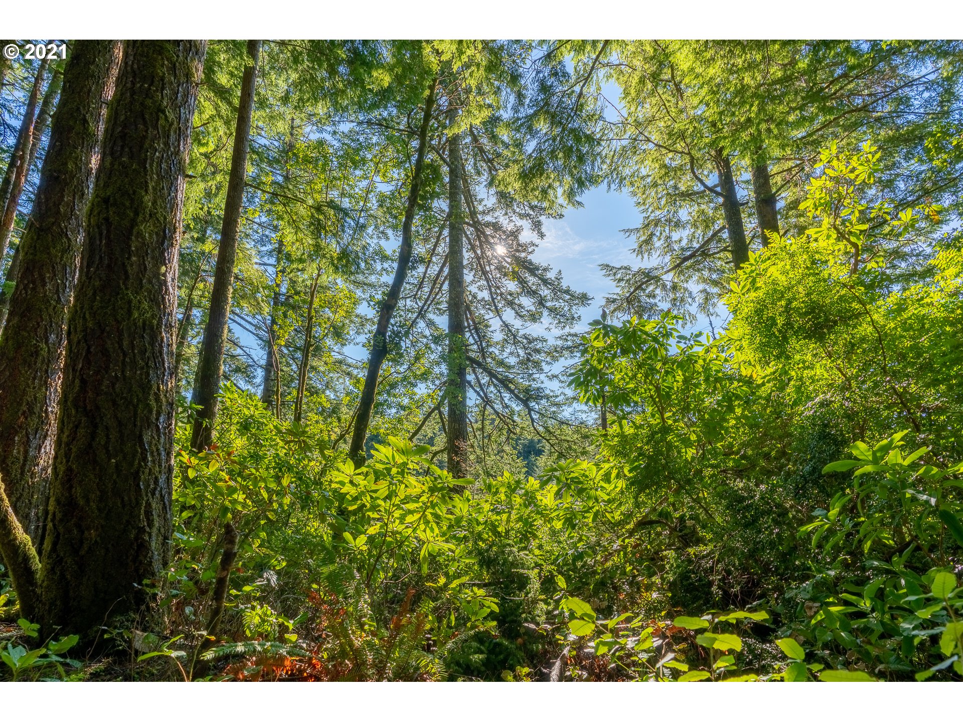 93335 Hubbard Creek Road Port Orford, OR 97465 - Photo 28 of 32 Gallery Image 28