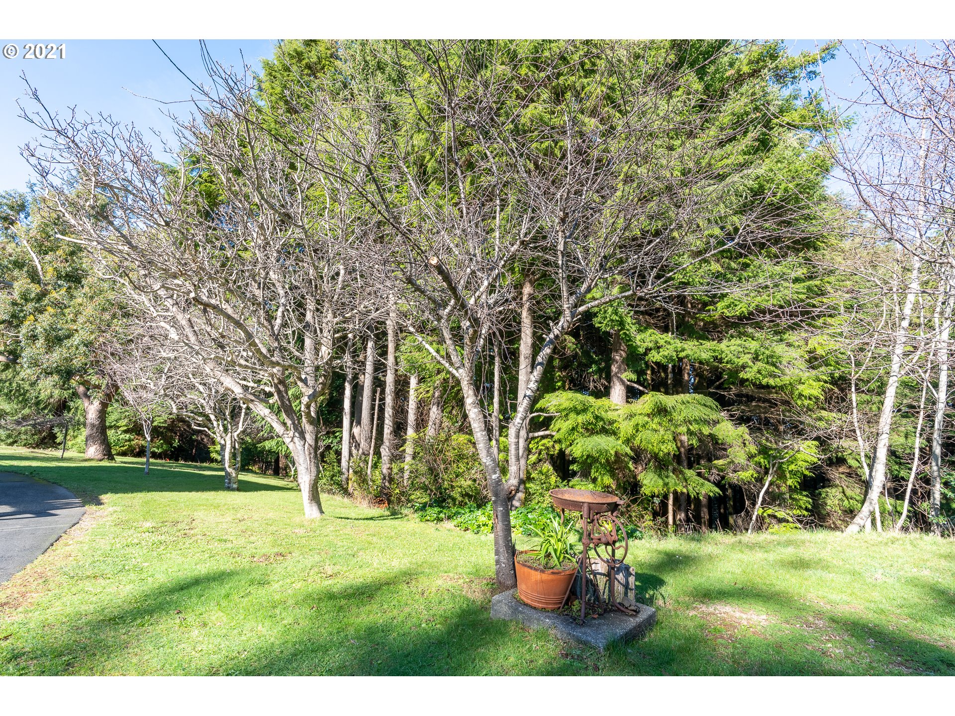 93335 Hubbard Creek Road Port Orford, OR 97465 - Photo 29 of 32 Gallery Image 29