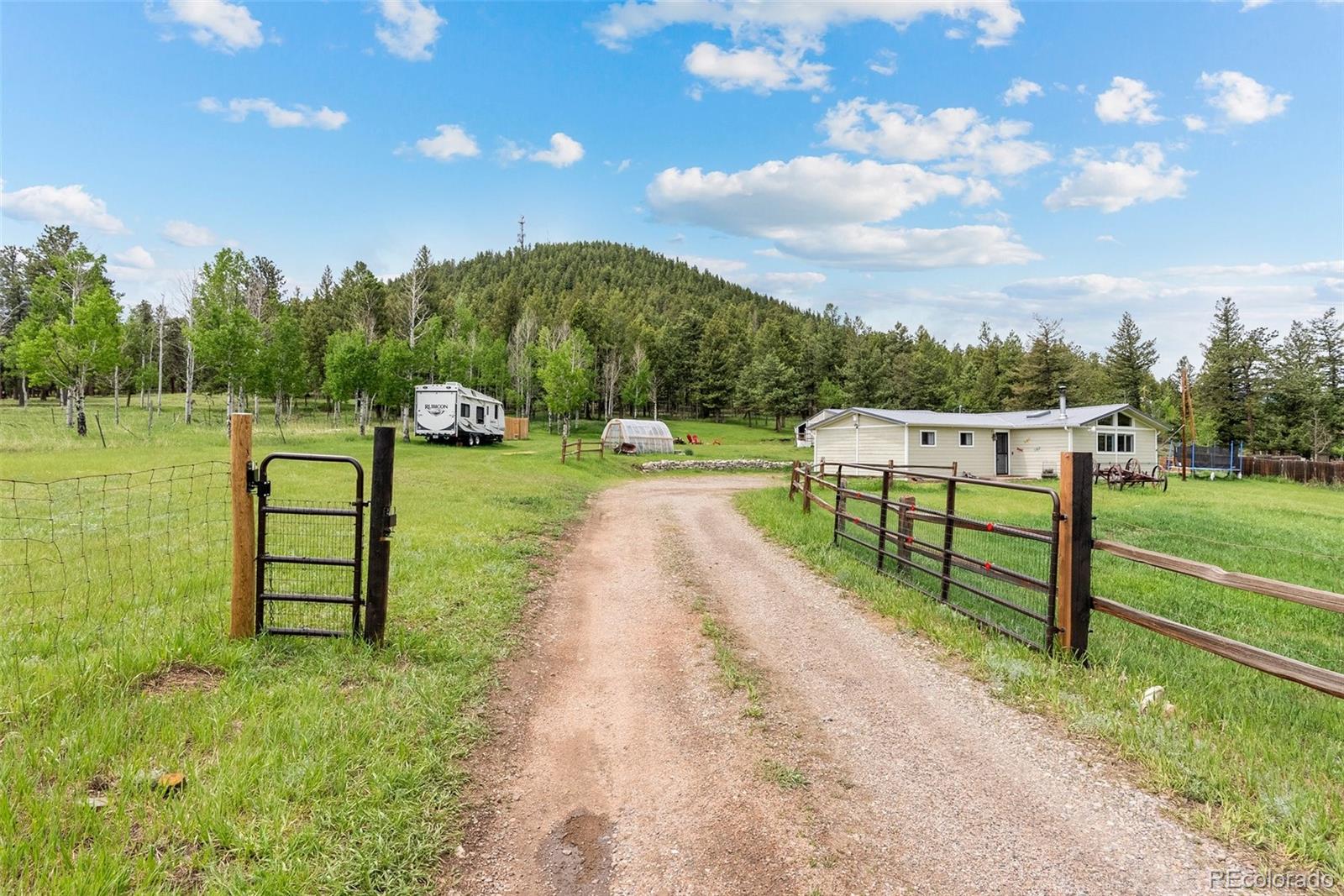 795 Burland Drive Bailey, CO 80421 - Photo 19 of 50 a view of a garden with houses