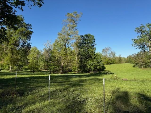 434 Walnut Creek Road Simsboro, LA 71275 - Photo 4 of 16