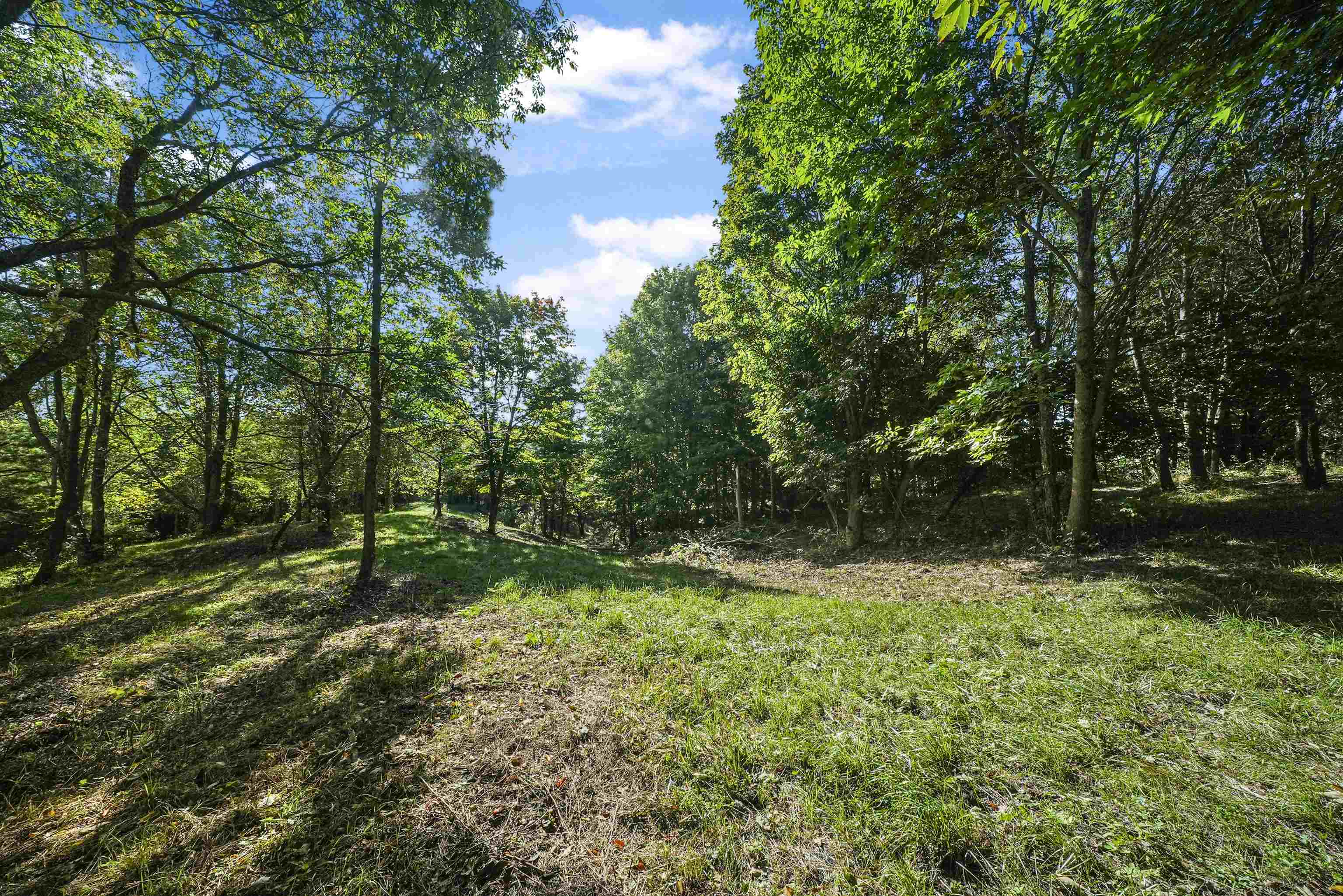-2 Carlson Road, Unit PARCEL 2 Frankfort, MI 49635 - Photo 5 of 13