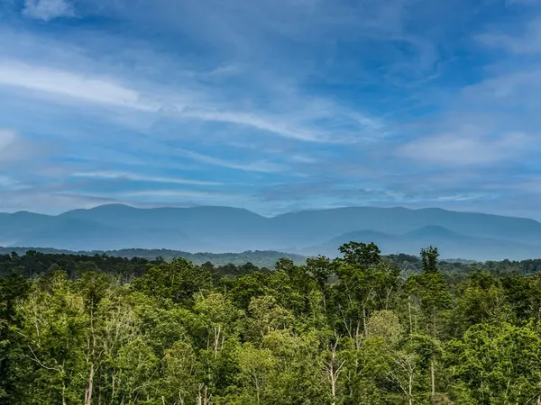 $3,750,000 | 278 Oak Wood Lane, Ellijay, GA 30540