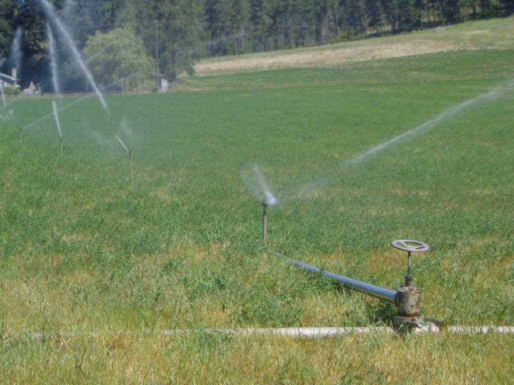 556 B Douglas Falls Road Colville, WA 99114 - Photo 2 of 11 Gallery Image 2