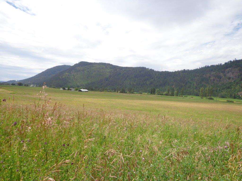 556 B Douglas Falls Road Colville, WA 99114 - Photo 11 of 11 Gallery Image 11