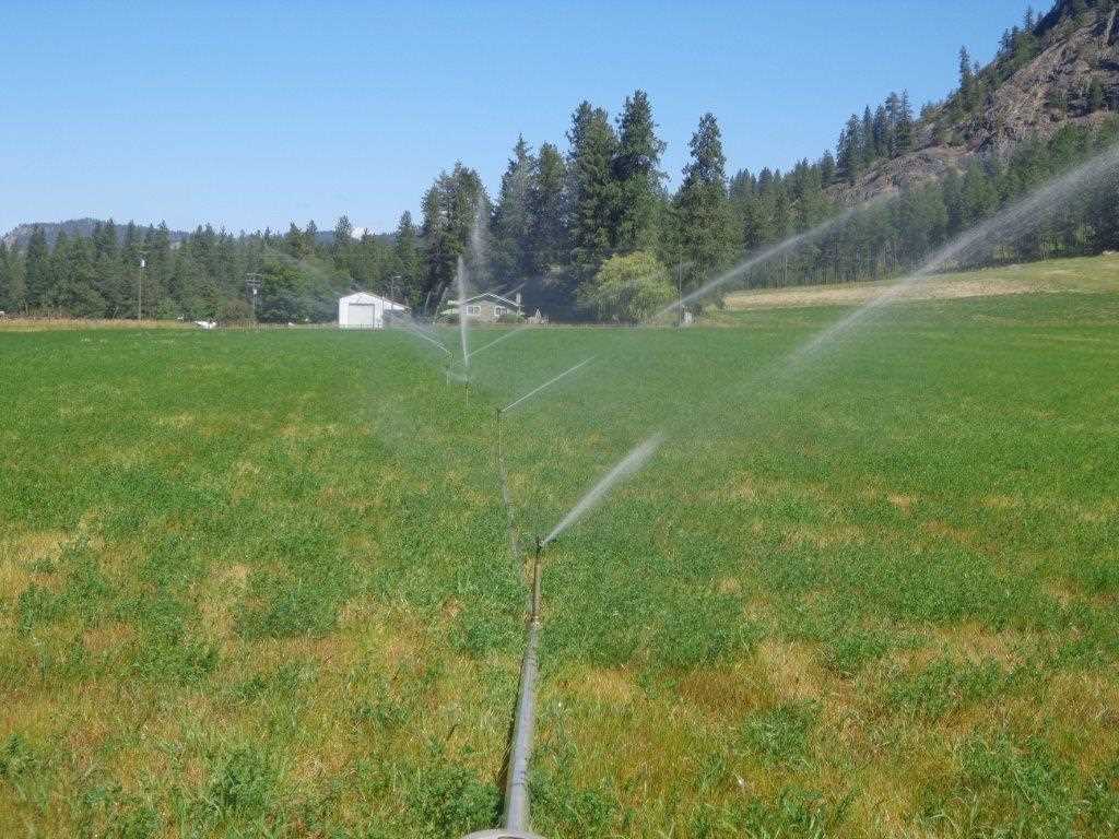 556 B Douglas Falls Road Colville, WA 99114 - Photo 5 of 11 Gallery Image 5