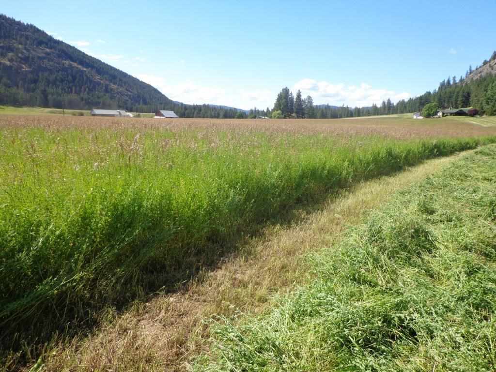 556 B Douglas Falls Road Colville, WA 99114 - Photo 6 of 11 Gallery Image 6