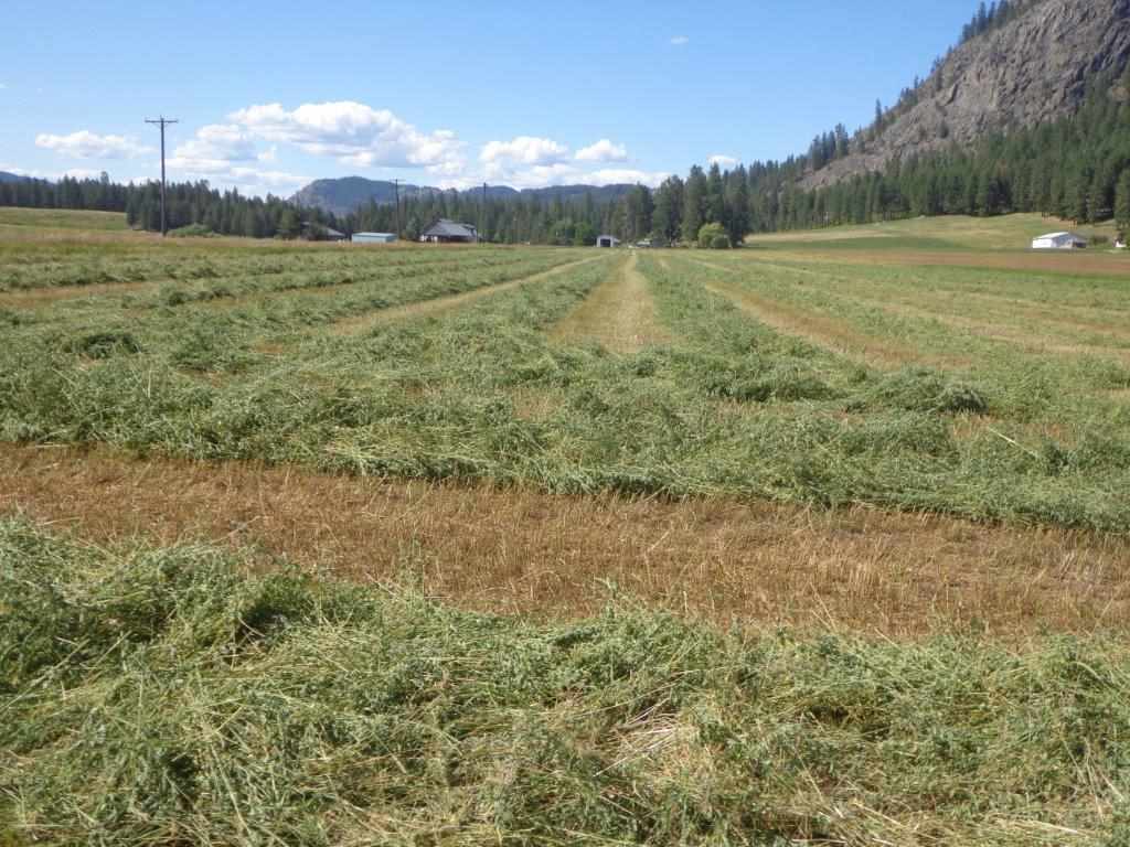 556 B Douglas Falls Road Colville, WA 99114 - Photo 7 of 11 Gallery Image 7