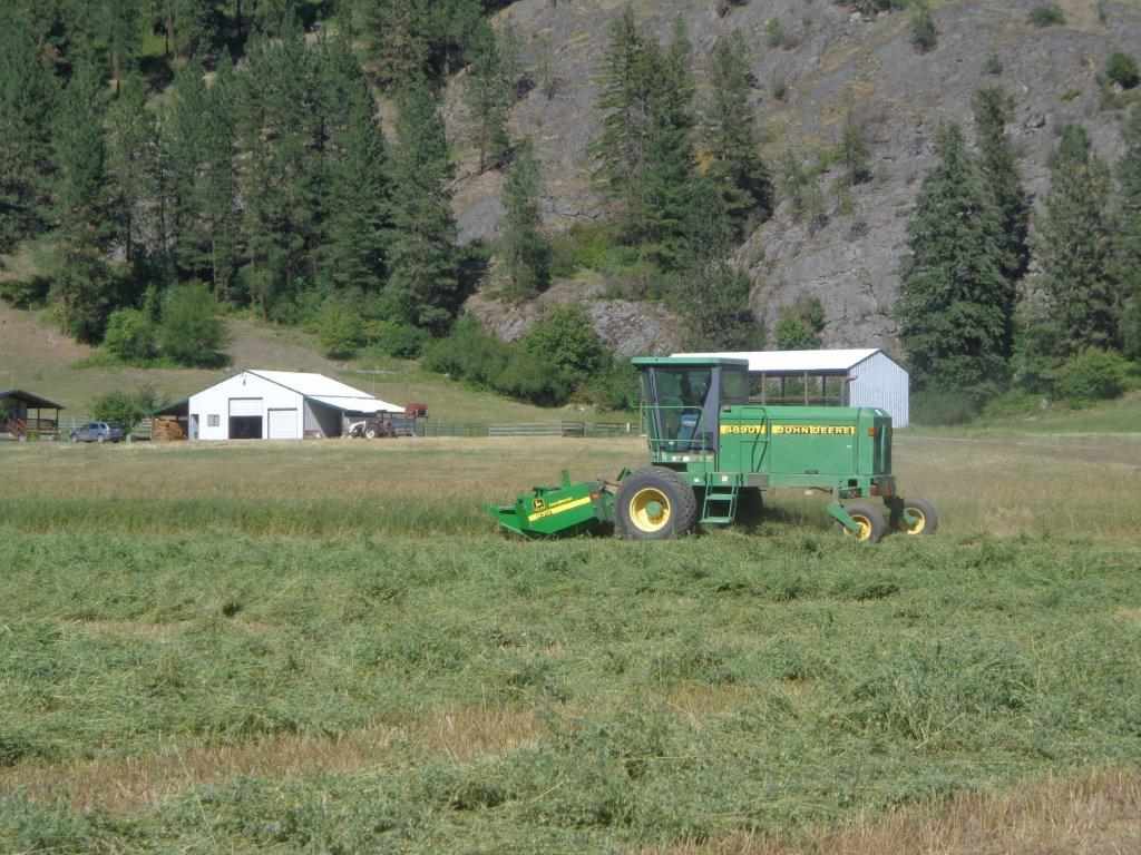 556 B Douglas Falls Road Colville, WA 99114 - Photo 9 of 11 Gallery Image 9