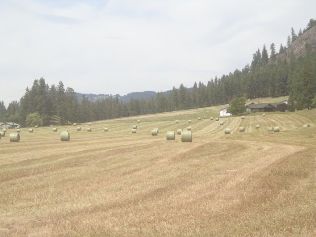 556 B Douglas Falls Road Colville, WA 99114 - Photo 10 of 11 Gallery Image 10