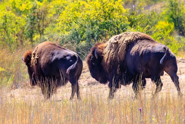 a kitchen with kitchen island granite countertop wooden cabinets and refrigerator