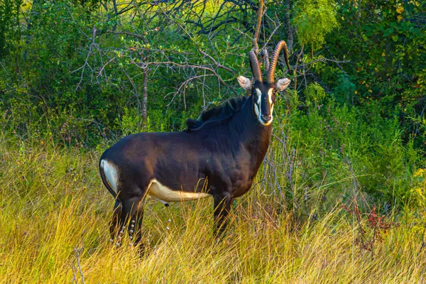 a view of an ocean and a building