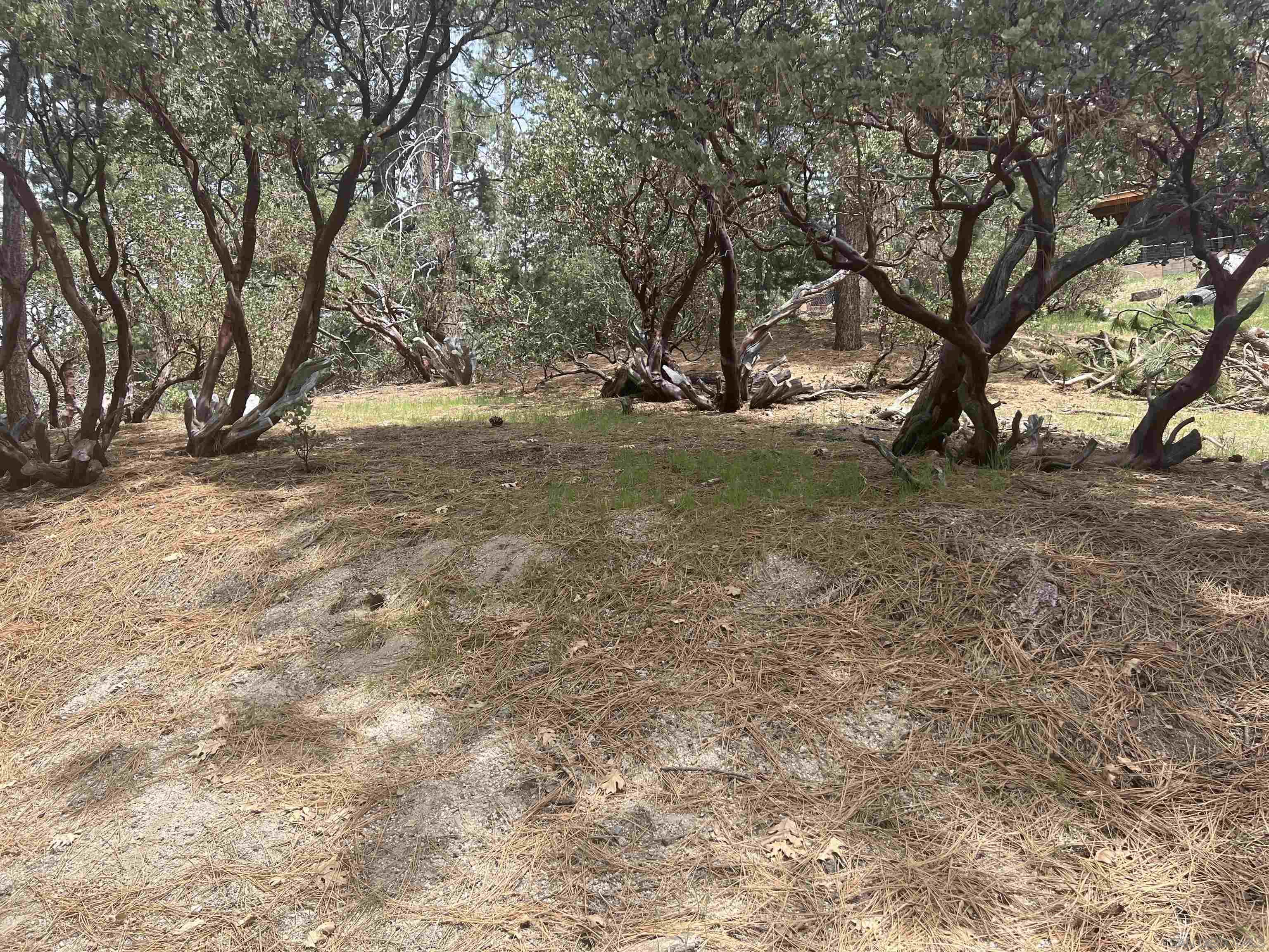 a view of outdoor space with trees