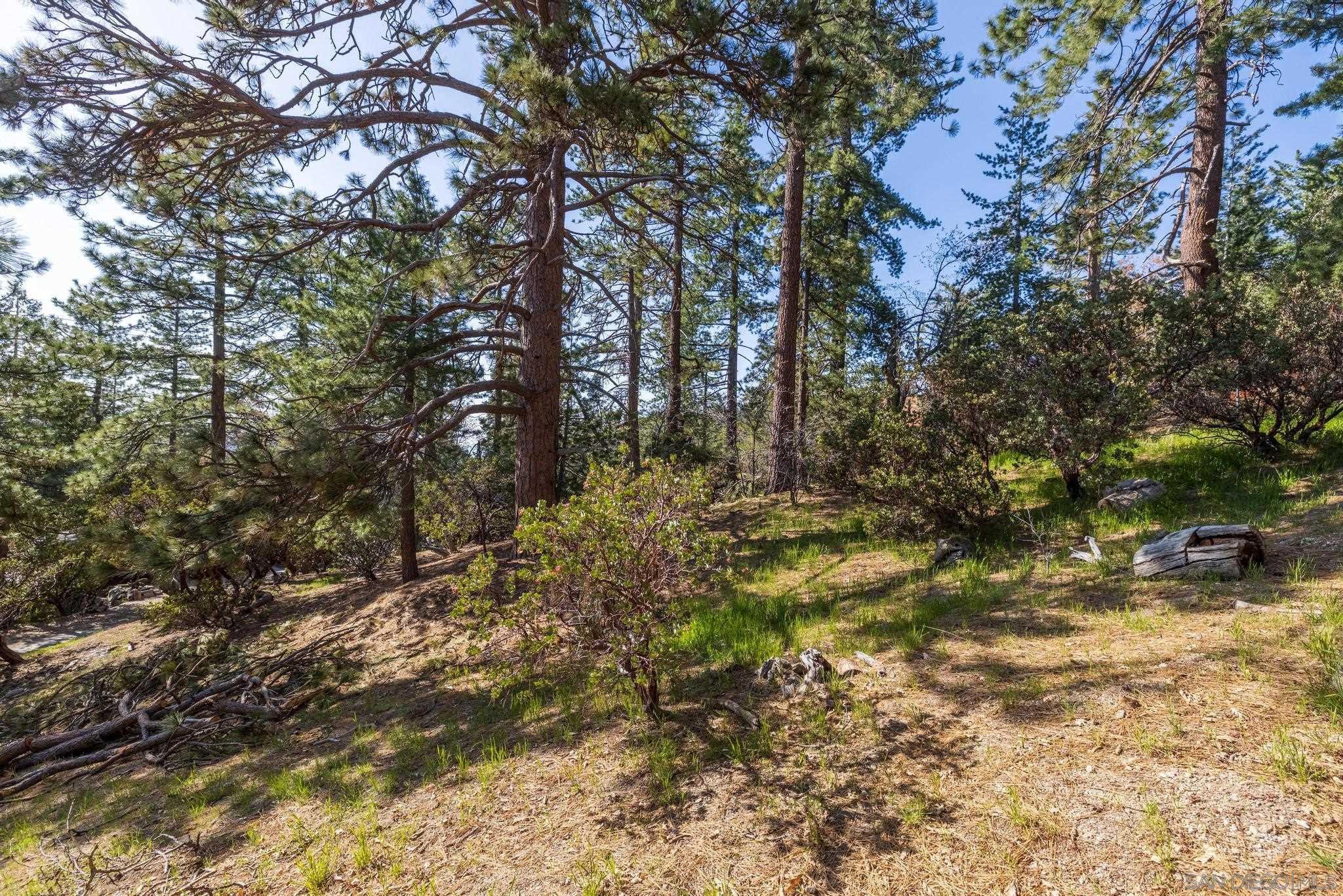 0 Logan Creek Road Idyllwild, CA 92549 - Photo 11 of 38 a view of a yard with trees