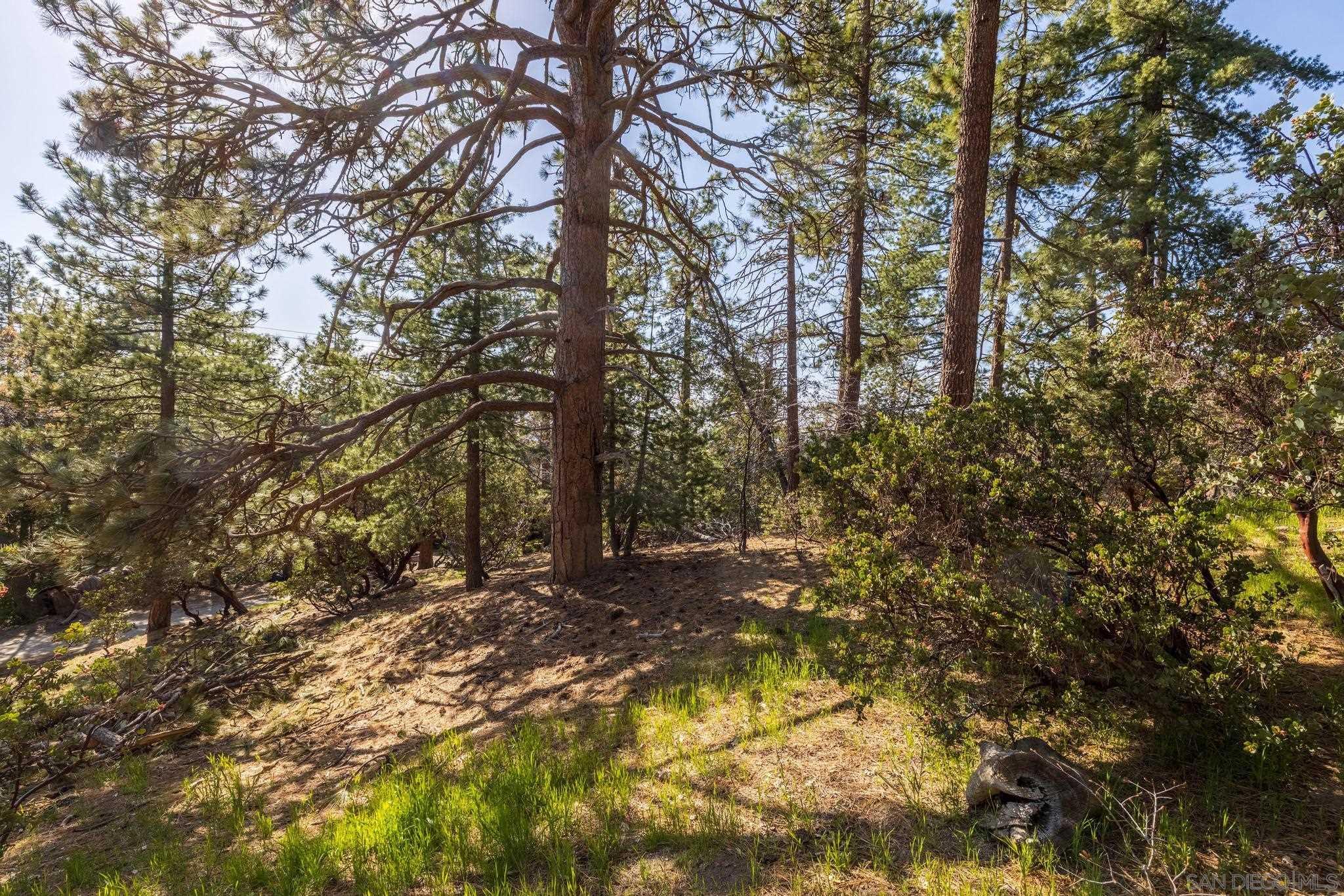 0 Logan Creek Road Idyllwild, CA 92549 - Photo 12 of 38 a backyard of a house