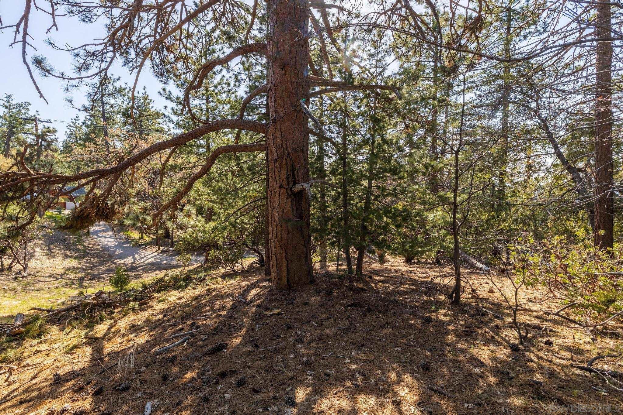 0 Logan Creek Road Idyllwild, CA 92549 - Photo 13 of 38 a view of outdoor space and trees