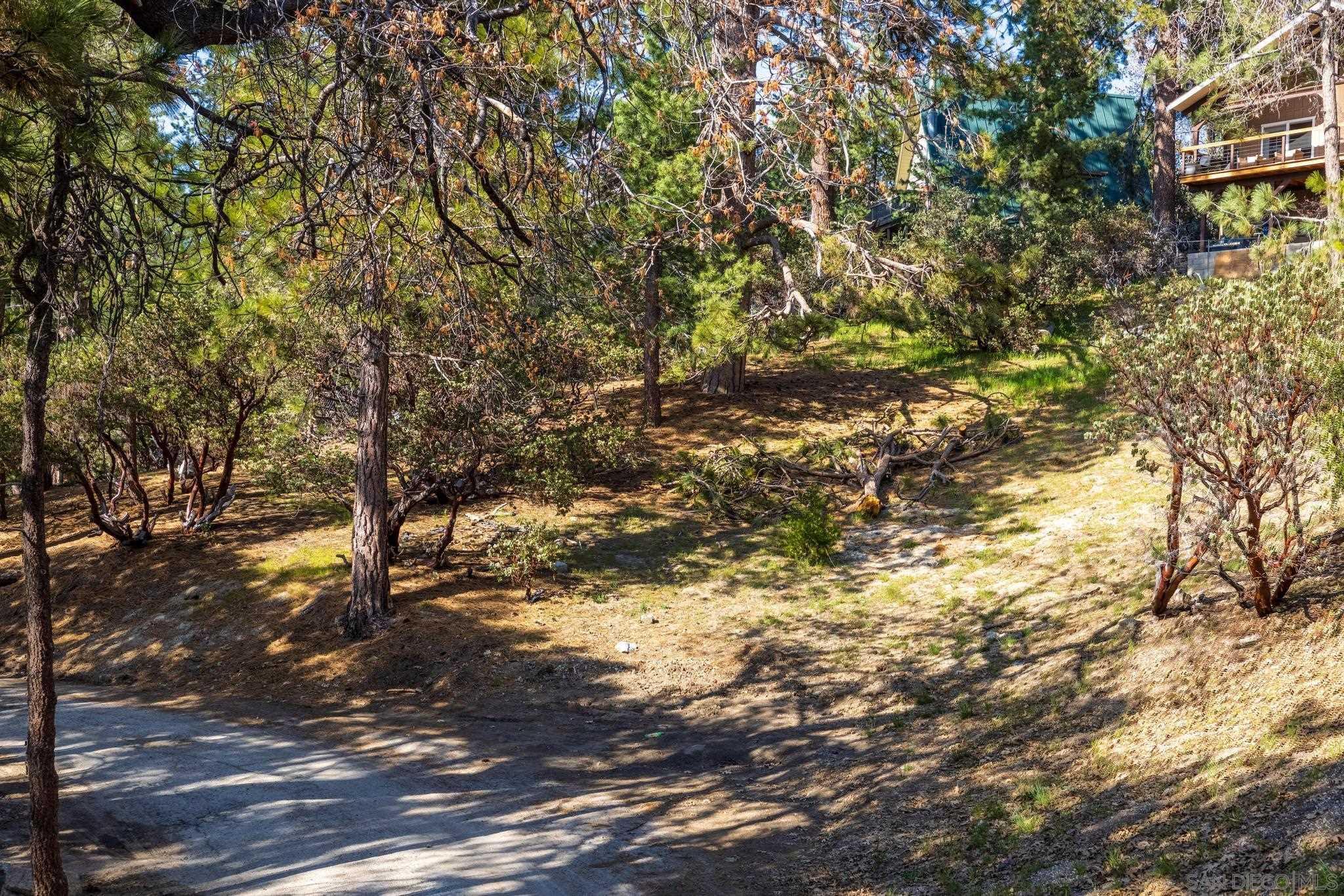 0 Logan Creek Road Idyllwild, CA 92549 - Photo 15 of 38 a view of a tree