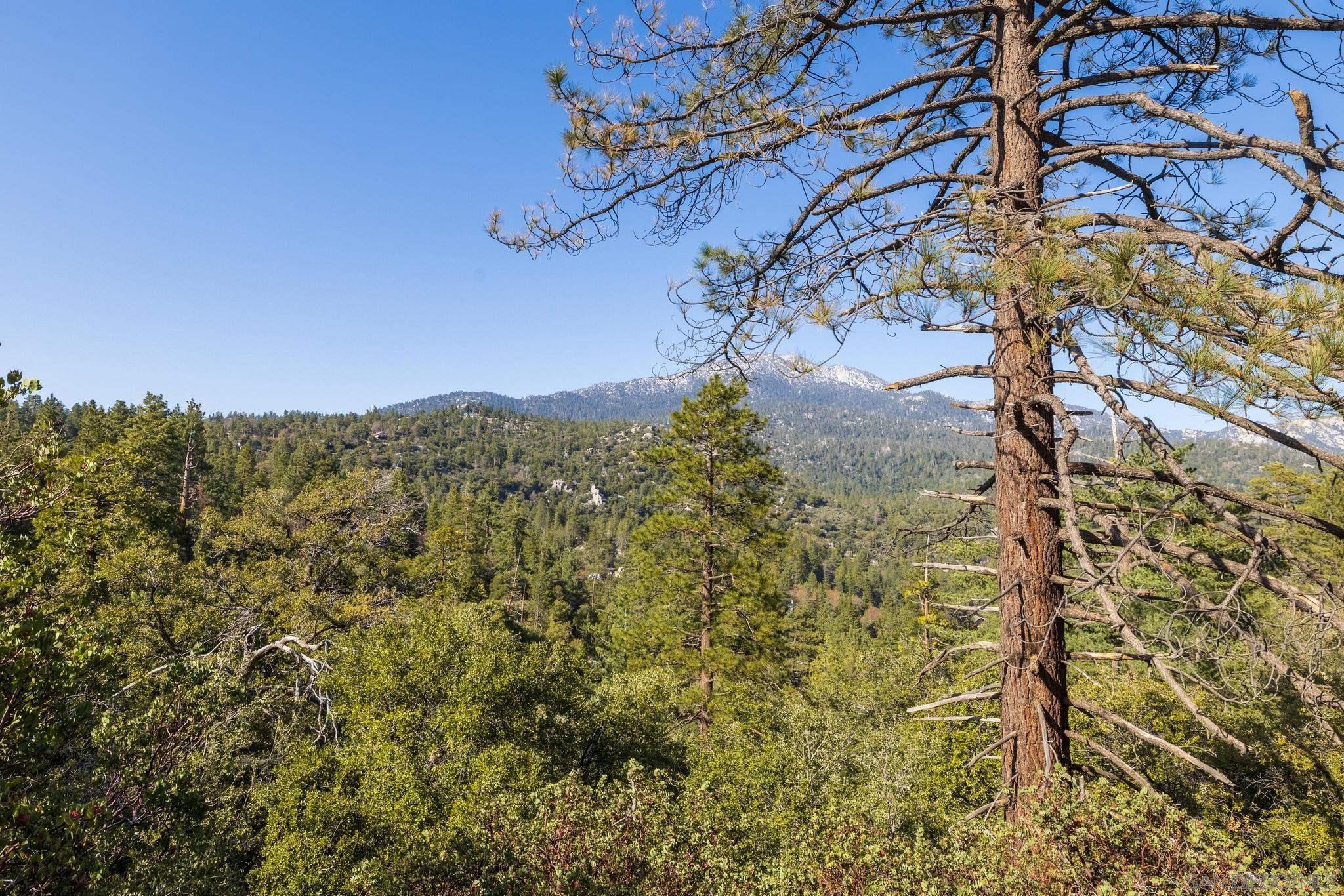 0 Logan Creek Road Idyllwild, CA 92549 - Photo 17 of 38 a view of a yard with a tree