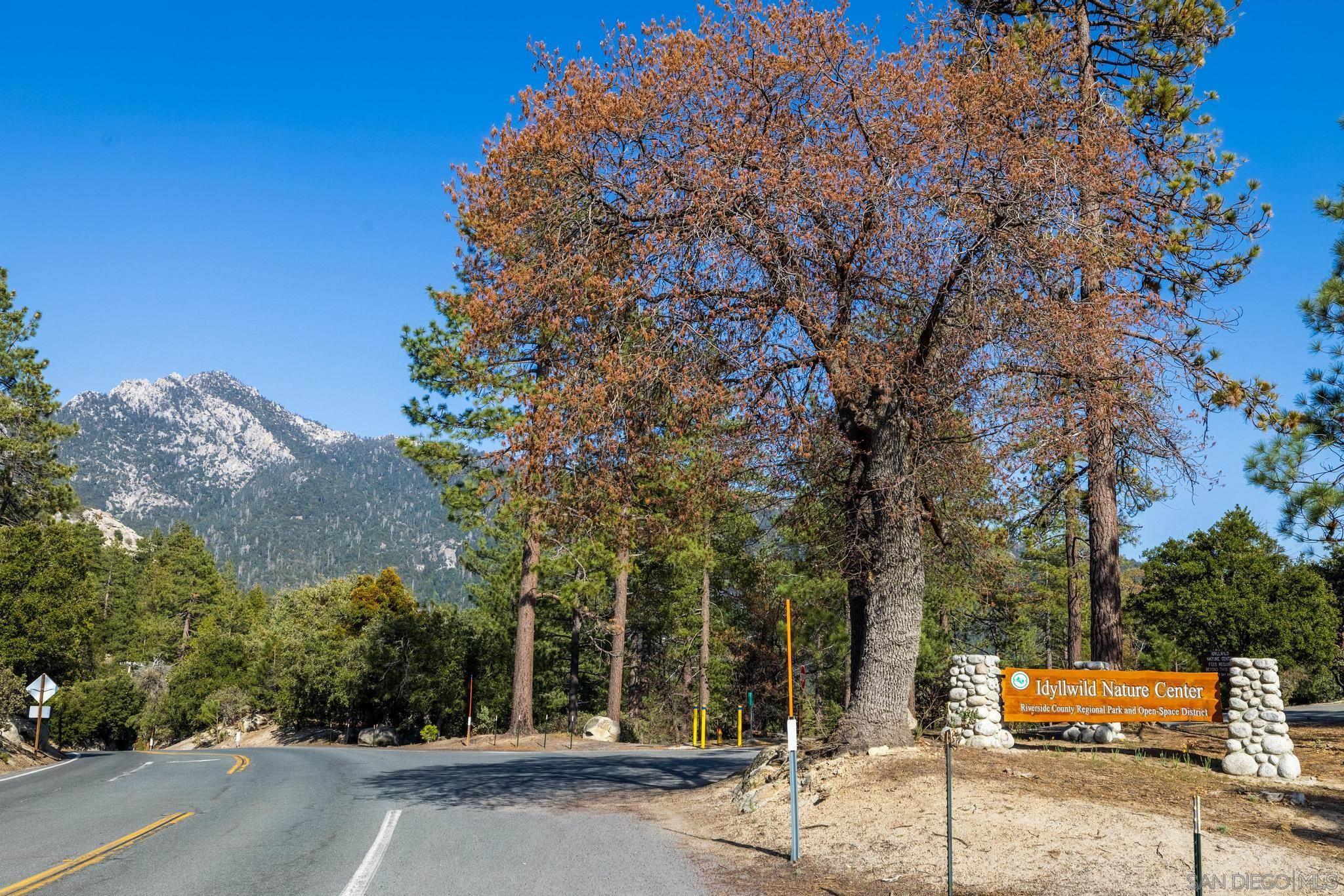 0 Logan Creek Road Idyllwild, CA 92549 - Photo 19 of 38 a street view with large trees