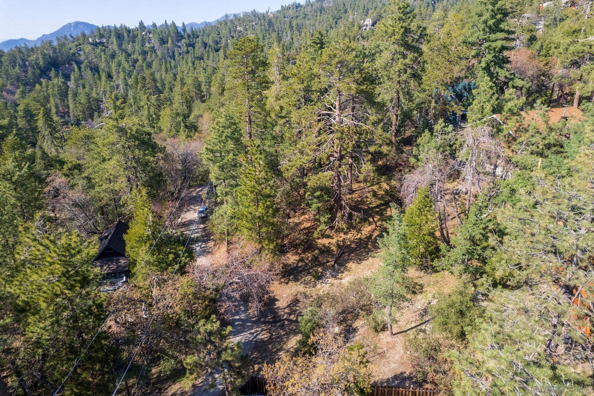 0 Logan Creek Road Idyllwild, CA 92549 - Photo 28 of 38 a view of a forest with a tree