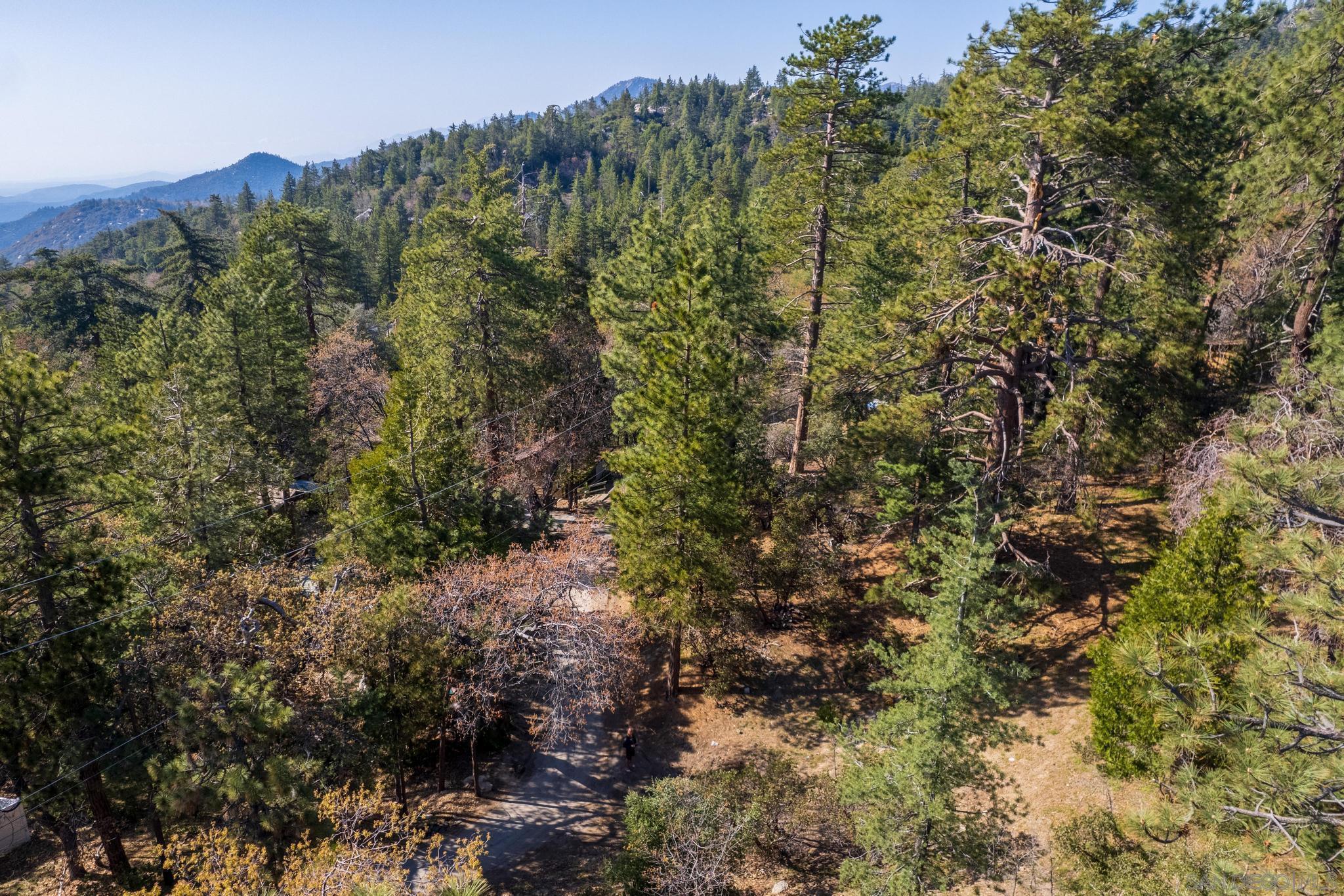 0 Logan Creek Road Idyllwild, CA 92549 - Photo 30 of 38 a view of a forest with a tree