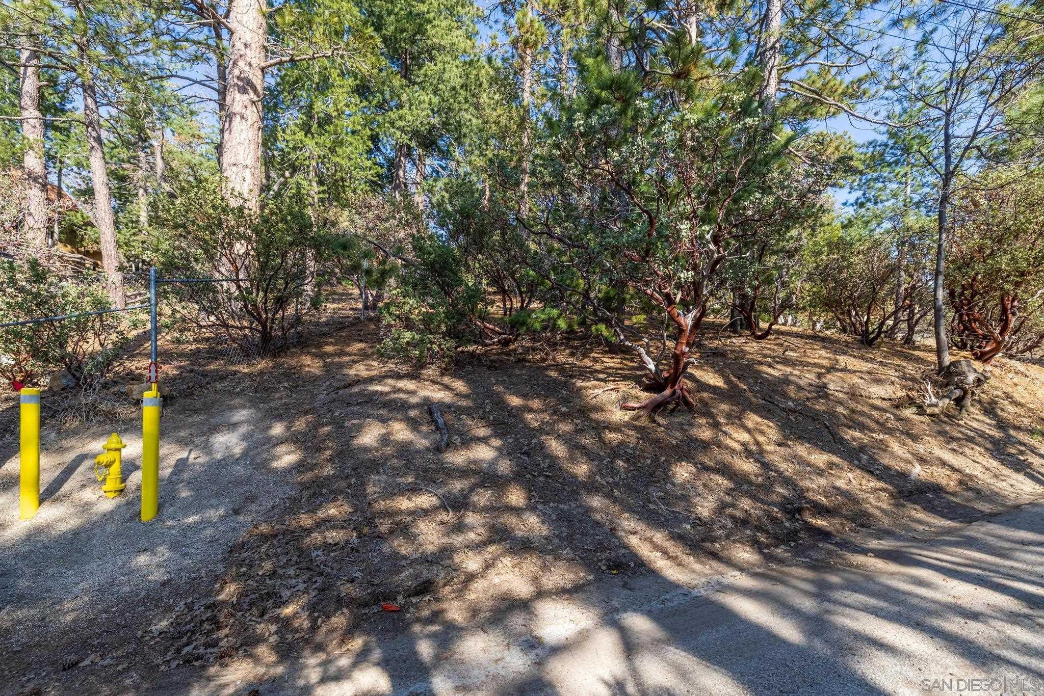 0 Logan Creek Road Idyllwild, CA 92549 - Photo 7 of 38 a view of trees with trees