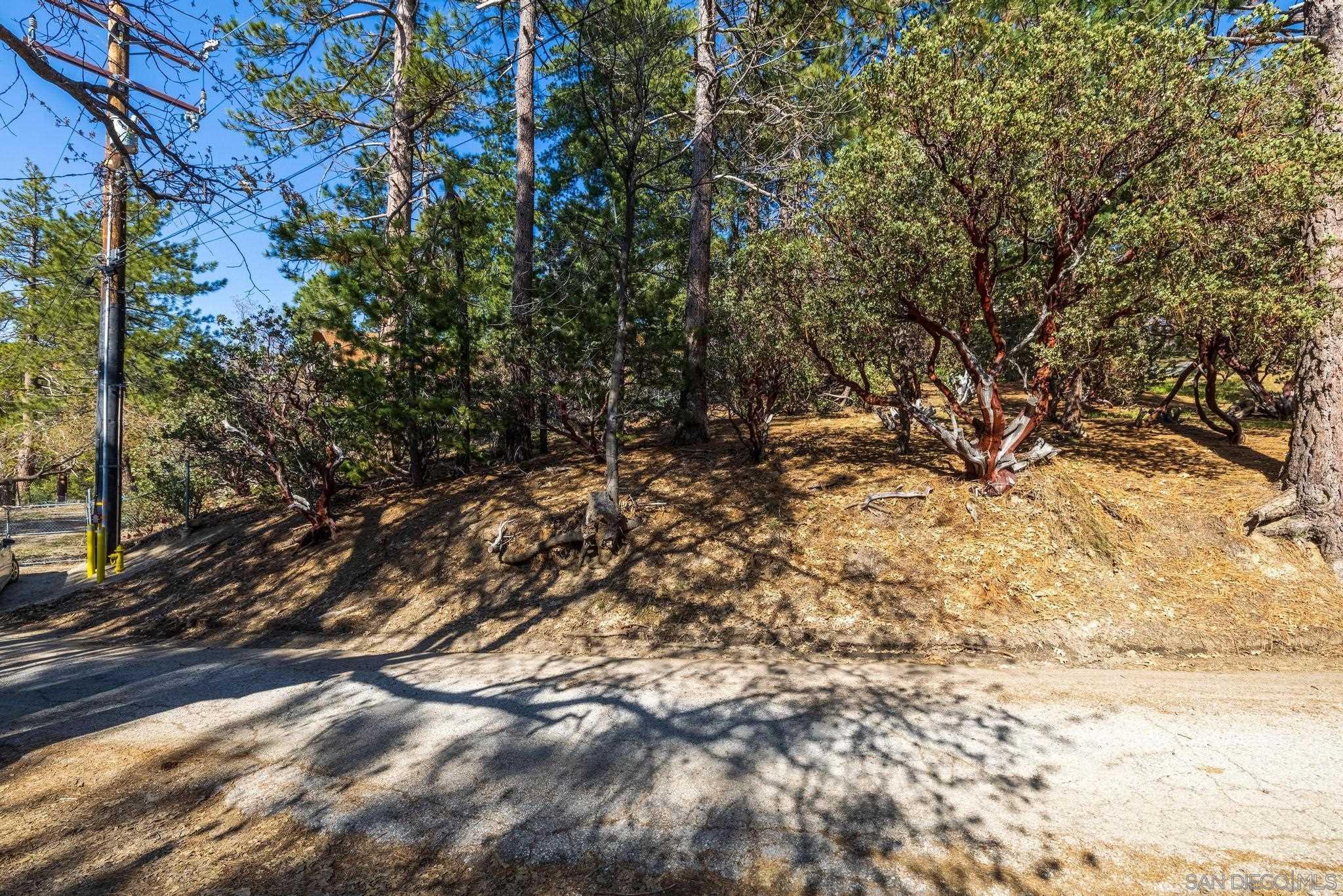 0 Logan Creek Road Idyllwild, CA 92549 - Photo 8 of 38