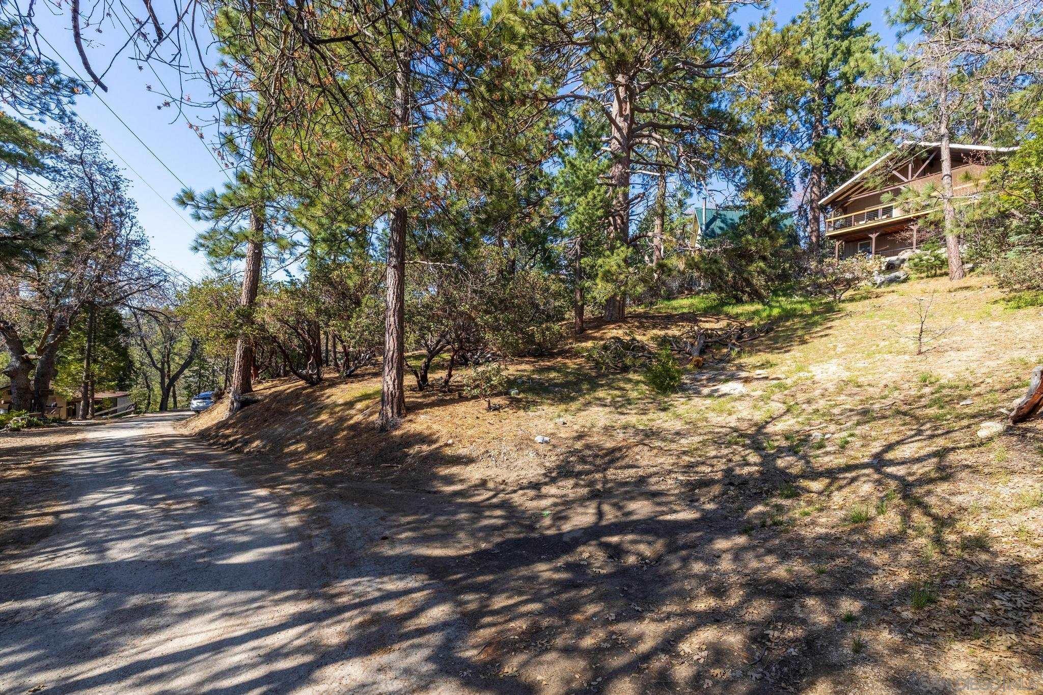 0 Logan Creek Road Idyllwild, CA 92549 - Photo 9 of 38 a view of a tree with a yard