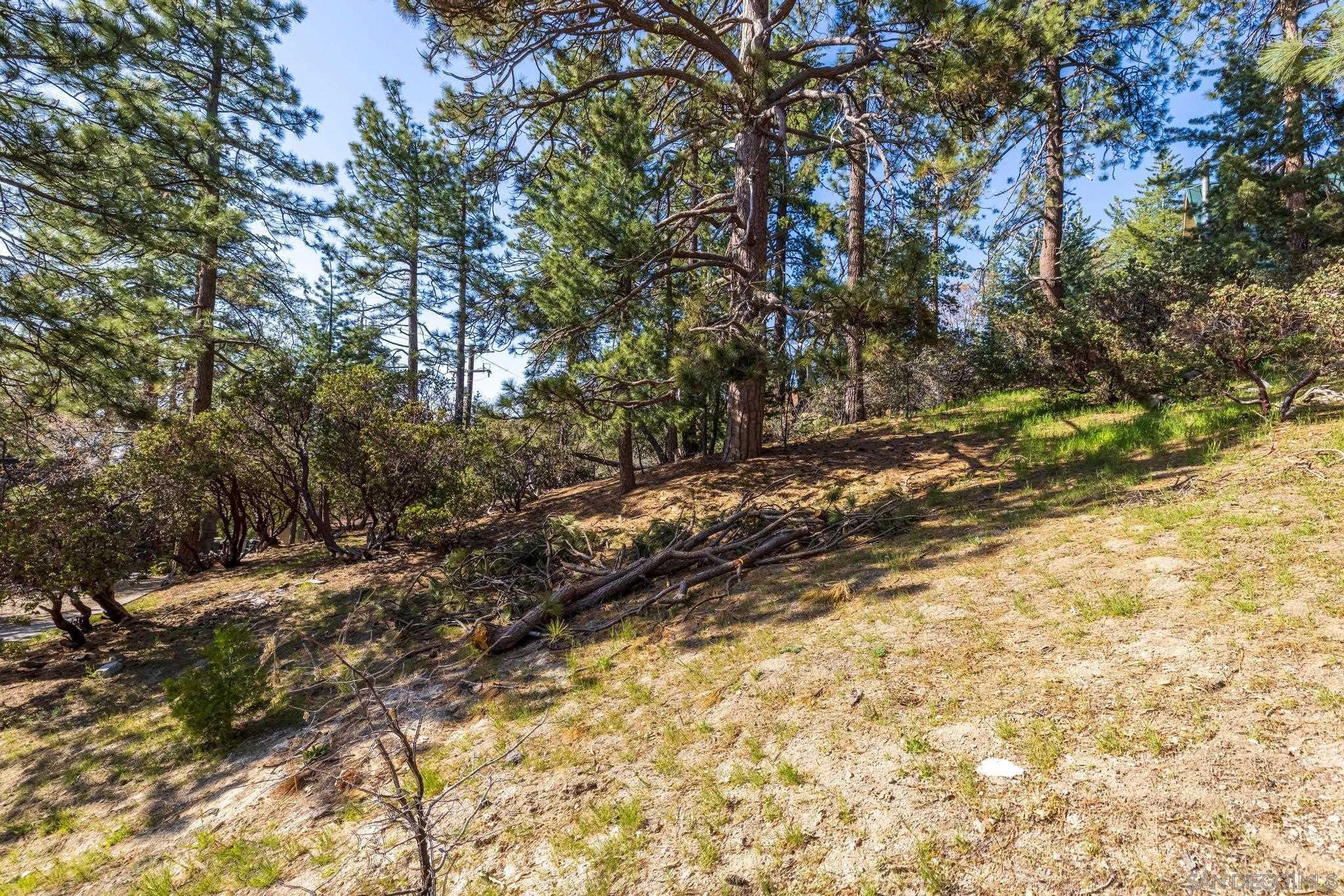 0 Logan Creek Road Idyllwild, CA 92549 - Photo 10 of 38 a view of a yard with a tree