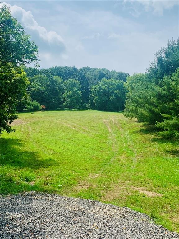a view of an ocean from a yard