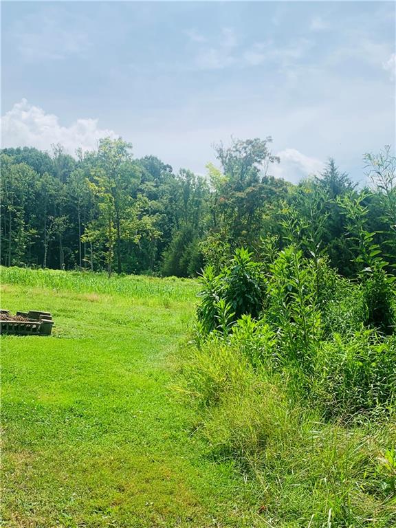 0 Rocco Lane Scenery Hill, PA 15360 - Photo 13 of 20 a view of a garden with a building in the background