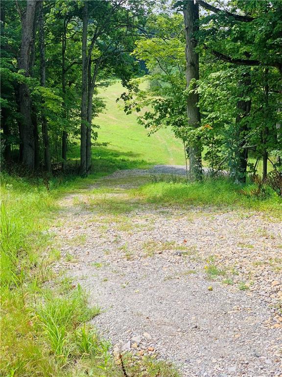 0 Rocco Lane Scenery Hill, PA 15360 - Photo 2 of 20 a view of a yard with a tree