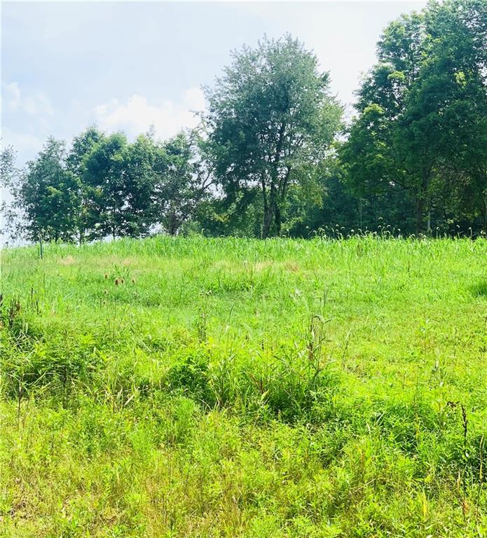 0 Rocco Lane Scenery Hill, PA 15360 - Photo 3 of 20 a view of yard with green space