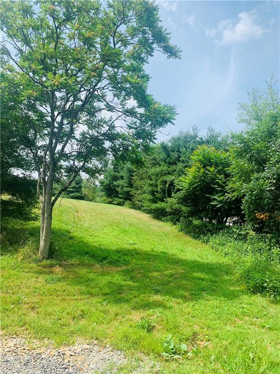 0 Rocco Lane Scenery Hill, PA 15360 - Photo 4 of 20 a view of a garden with a tree