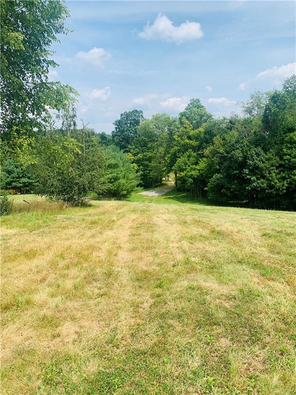 0 Rocco Lane Scenery Hill, PA 15360 - Photo 10 of 20 a view of a large pool with plants and trees in the background