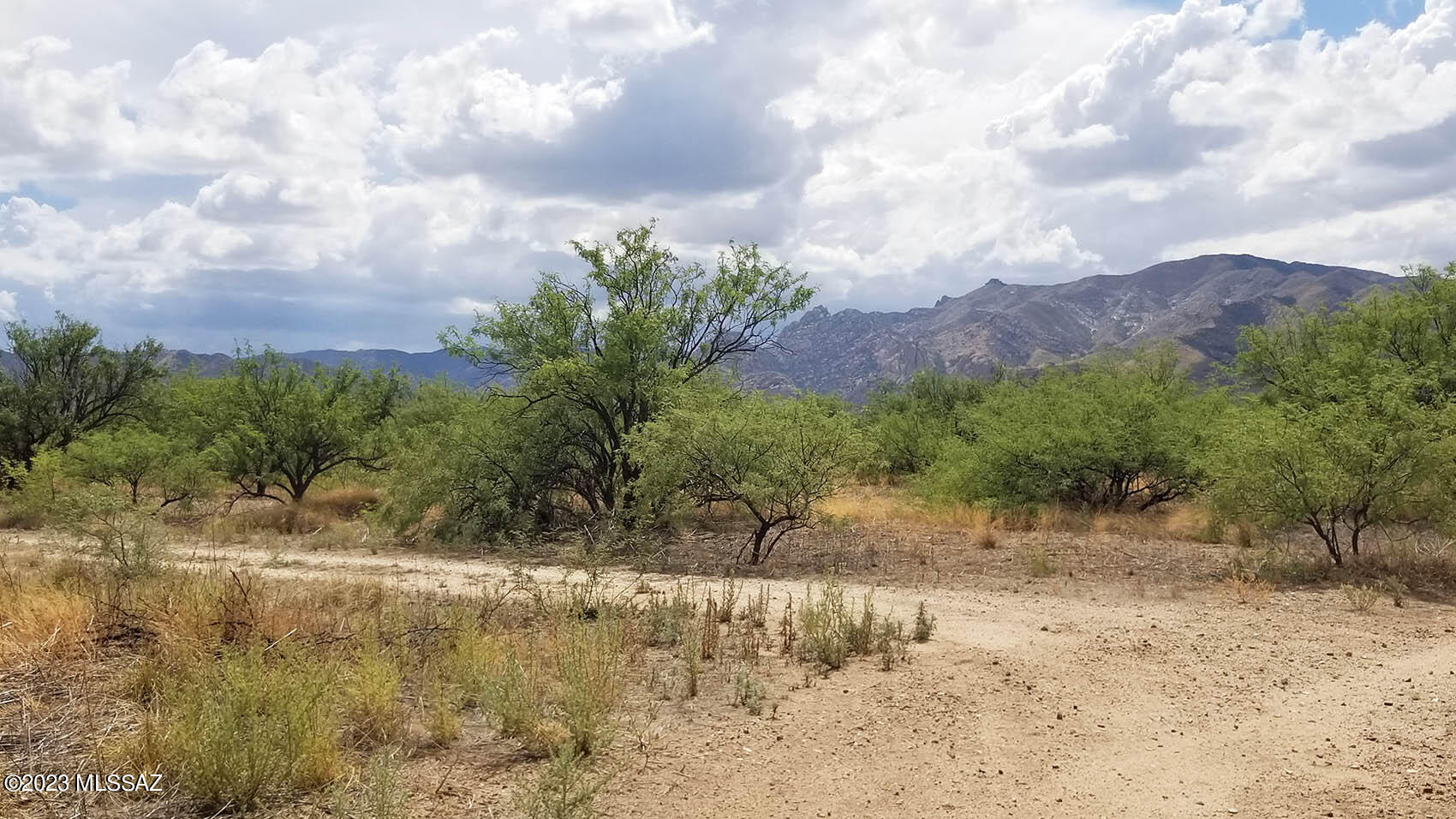 1-lot West Birch Road, Unit 8 Cochise, AZ 85606 - Photo 9 of 11