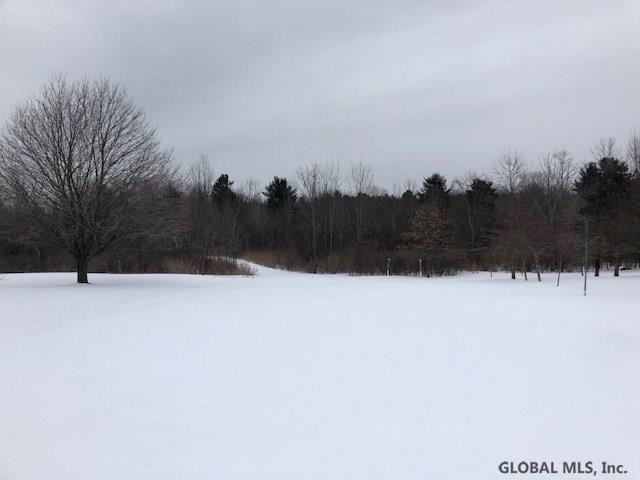 0 Onderdonk Road Schenectady, NY 12302 - Photo 1 of 1 Photo 1