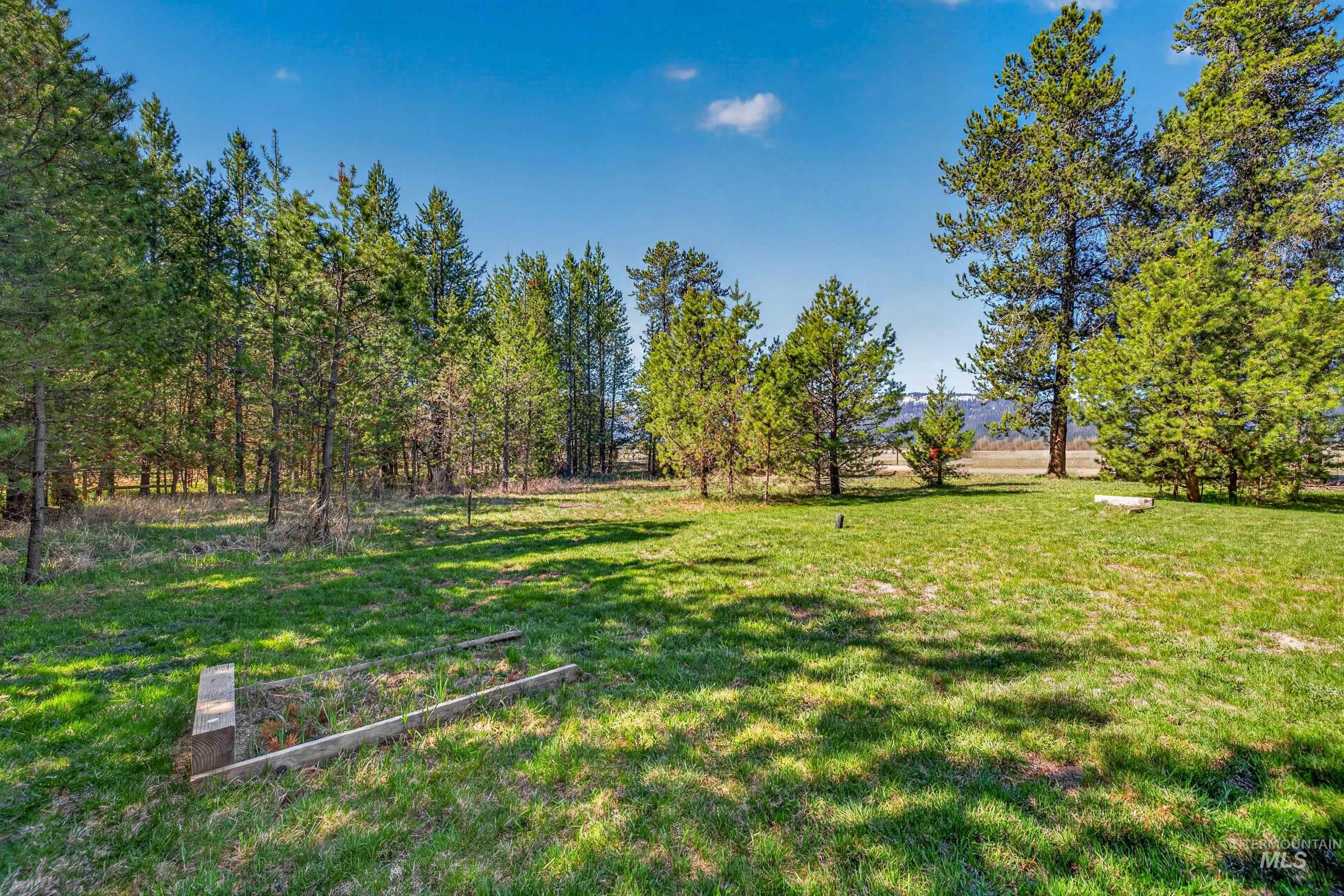 13388 Norwood Road McCall, ID 83638 - Photo 34 of 44 Expansive grassy area surrounded by mature pine trees and natural foliage