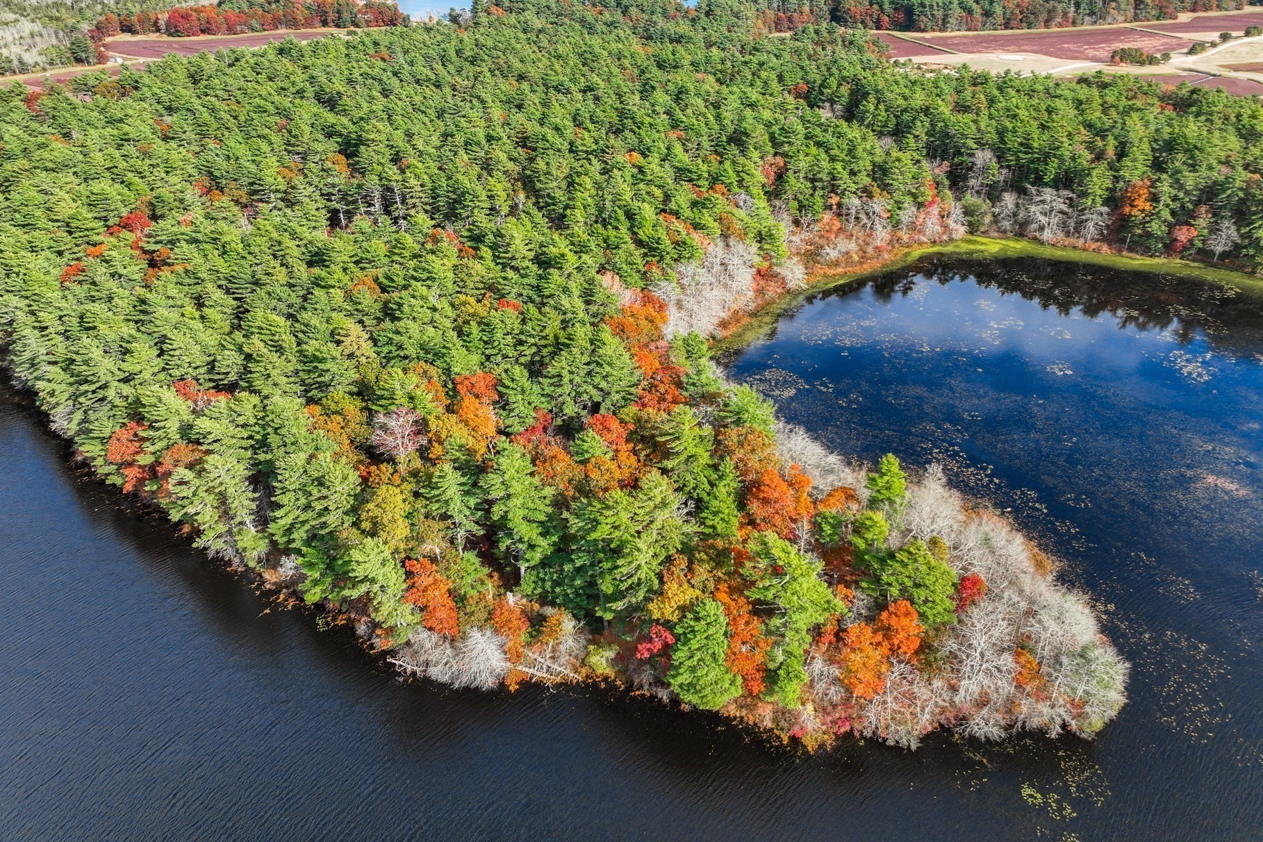 0 Marys Pond Road Rochester, MA 02770 - Photo 19 of 19 Gallery Image 19