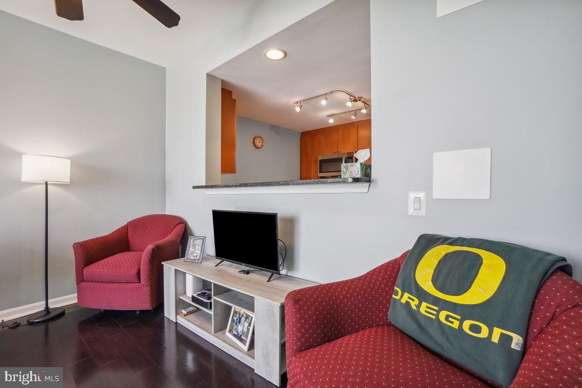 930 Wayne Avenue, Unit 1407 Silver Spring, MD 20910 - Photo 13 of 31 a living room with furniture and a fireplace