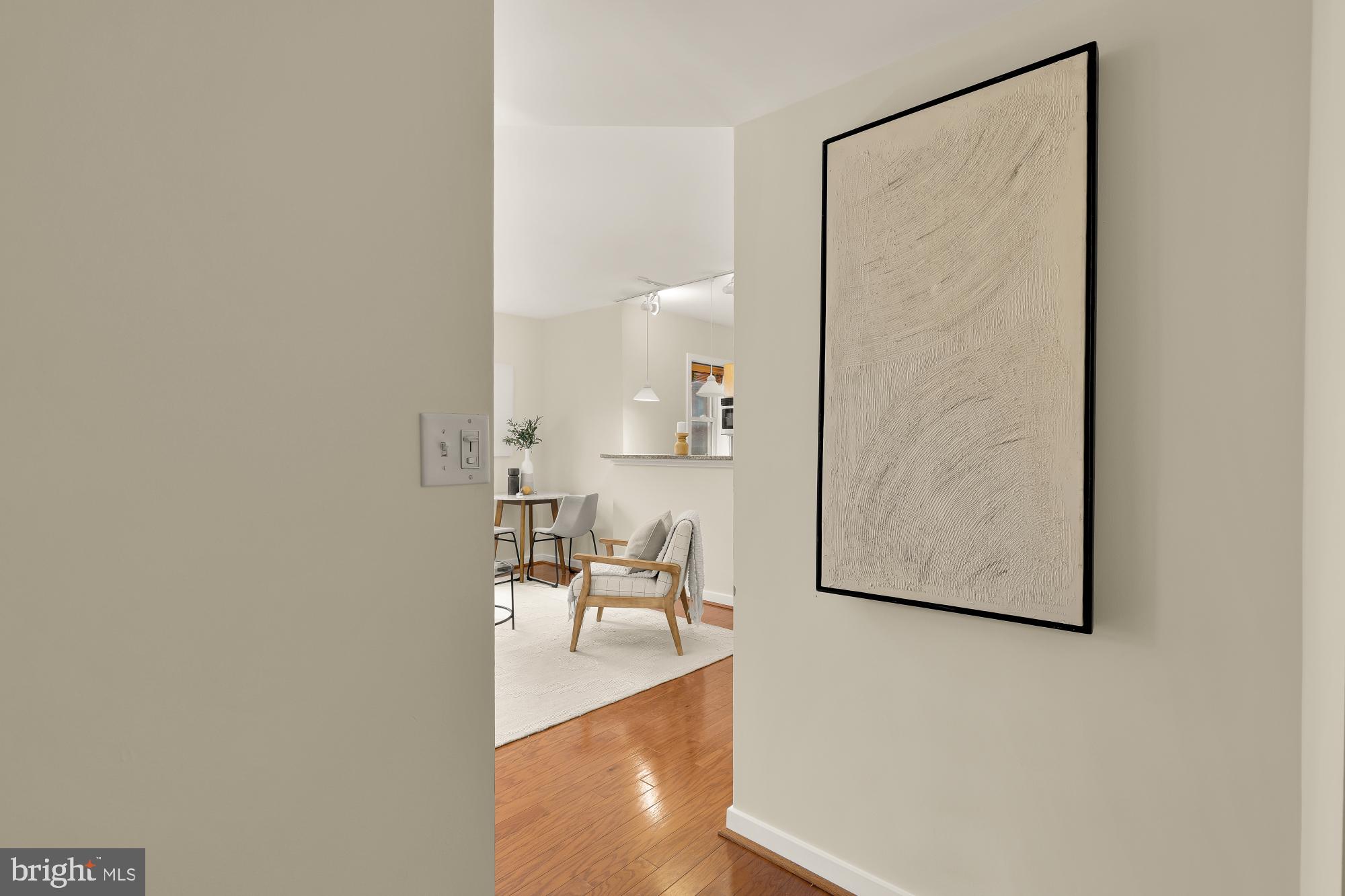 3534 10th Street Northwest, Unit 200 Washington, DC 20010 - Photo 3 of 34 an entryway with wooden floor and a rug